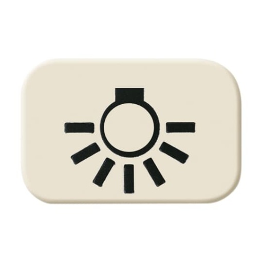 Symbol for rocker with Symbol light white  BuschDuro 2000 SI