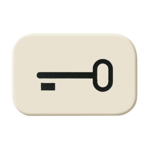 Symbol for rocker with Symbol key white  BuschDuro 2000 SI