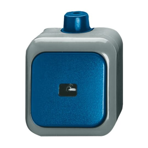 Switch Single push button 1P pole 1NO blue  BuschDuro 2000WDI