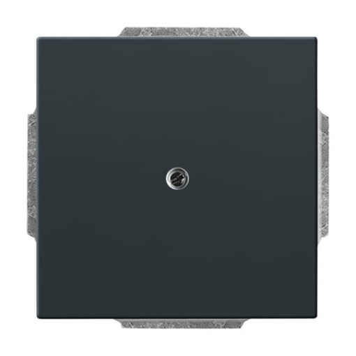 Cover plate Blind cap with Mounting plate anthracite - Platform 63