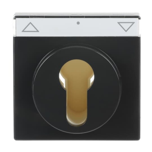 Cover plate with legend Symbol arrows or 0  1 for Venetian blind Key anthracite  Platform 63