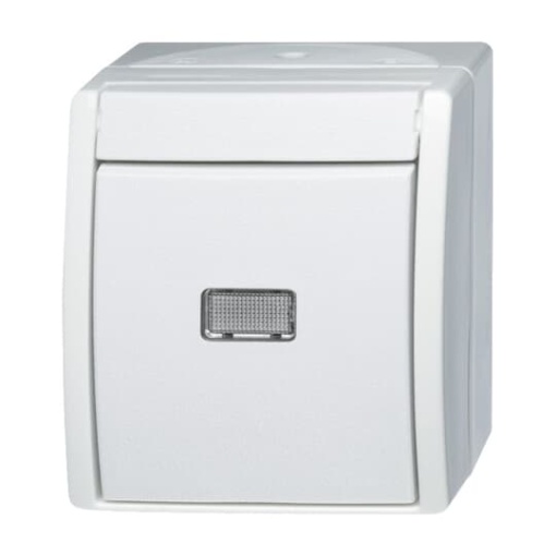 Switch Twoway switch with Neon lamp alpine white  ocean