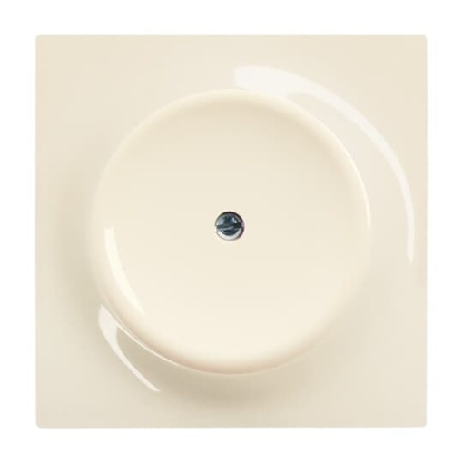 174272 Blank plate with metal mounting plate