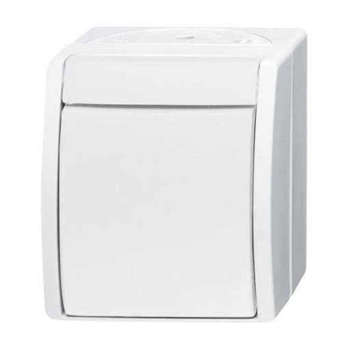 Switch 2pole switch alpine white  ocean