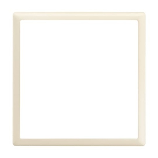 171672 Cover plate