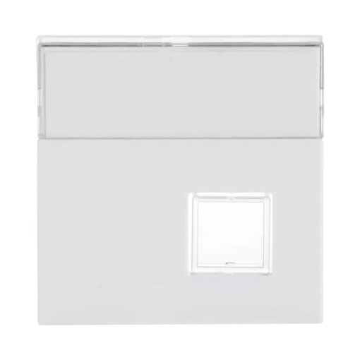 Cover plate with labelling field Busch-Infoline 1 gang studio white - Platform 63
