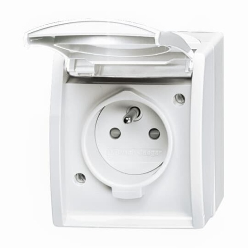 Socket insert with earthing pin labelling field with Hinged Lid alpine white   ocean