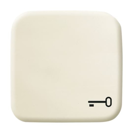 Rocker with legend Symbol "key" for Switchpush button, Single rocker white - Busch-Duro 2000 SI