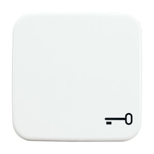 Rocker with legend Symbol "key" for Switchpush button, Single rocker alpine white - Reflex SI