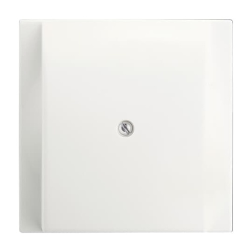 Cover plate Cable outlet with Mounting plate studio white matt  impuls