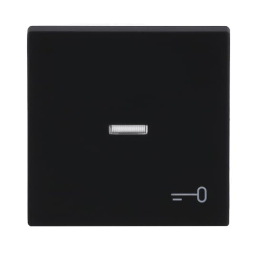 Rocker with legend Symbol "keydoor" with Small Transparent Calotte for Switchpush button, Single rocker black matt - Platform 63