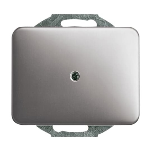 Cover plate Blind cap with Mounting plate platinum - alpha