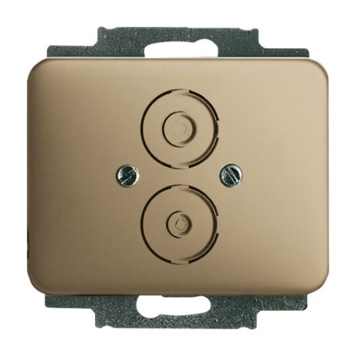 174821 CoverPlates partly incl Insert carat bronze