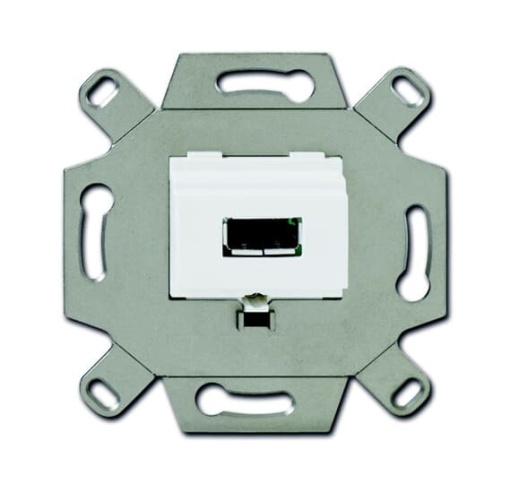 Flush Mounted Inserts USB 1gang alpine white