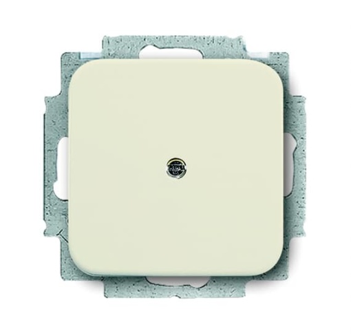 Cable Outlet  Blank Plate  Adapter Ring Blind cap 0 gang white  BuschDuro 2000 SI