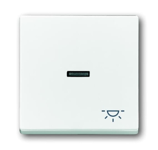 Mechanical Controls Symbol "light" with Small Transparent Calotte for Switchpush button, Single rocker studio white - Platform 63
