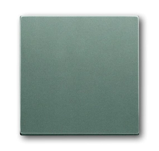 Mechanical Controls Without imprint for Switchpush button, Single rocker grey metallic - Platform 63