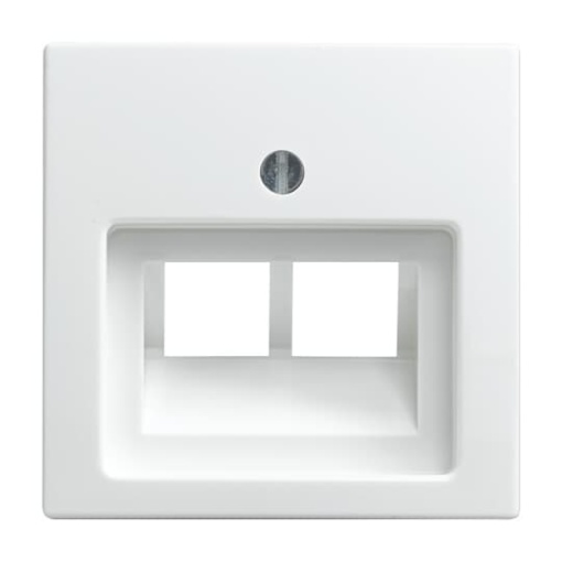 Cover plate UAEIAE ISDN 2 gang alpine white  Buschbalance SI