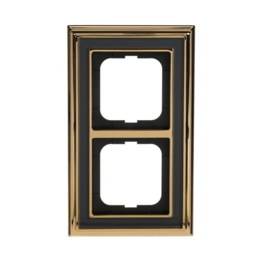 Cover frame 2gangs polished brass anthracite  BuschDynasty
