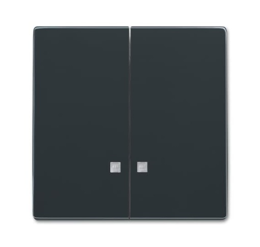 Mechanical Controls with Small Transparent Calotte for Switchpush button, Two-part rocker anthracite - Platform 63