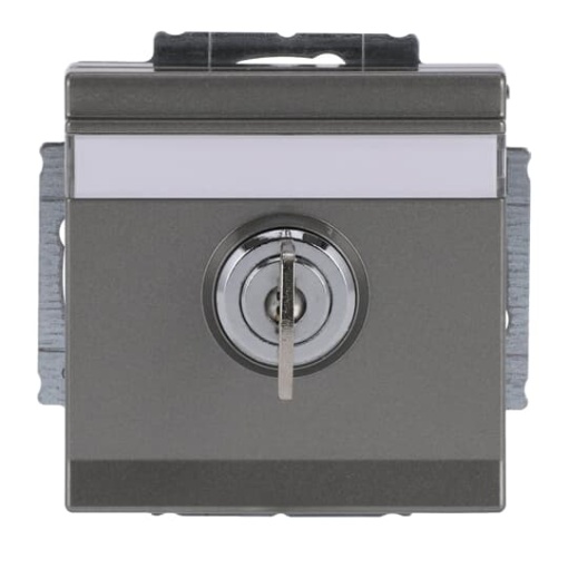 SCHUKO socket insert Safety Shutter with Hinged Lid and Cylinder Lock with different locking grey metallic  - Platform 63