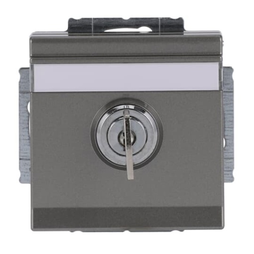 SCHUKO socket insert Safety Shutter with Hinged Lid and Cylinder Lock with simultaneous locking grey metallic  - Platform 63