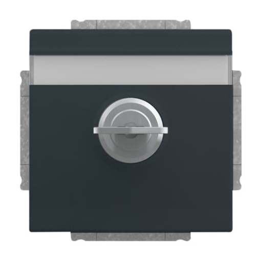 SCHUKO Socket insert with labelling field Safety Shutter with Hinged Lid and Cylinder Lock with different locking anthracite  - Platform 63
