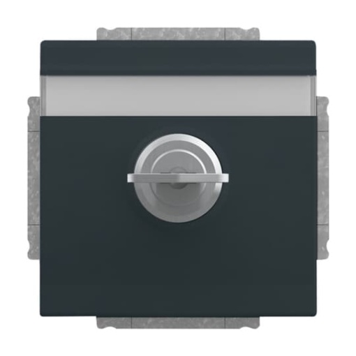 SCHUKO Socket insert with labelling field Safety Shutter with Hinged Lid and Cylinder Lock with simultaneous locking anthracite  - Platform 63