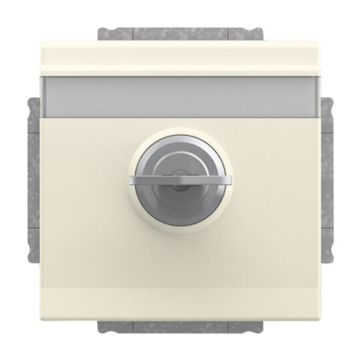 SCHUKO Socket insert with labelling field Safety Shutter with Hinged Lid and Cylinder Lock with different locking ivory white  - Platform 63