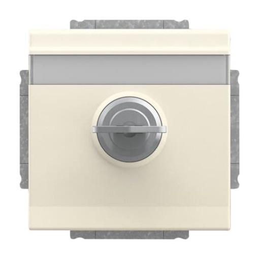 SCHUKO Socket insert with labelling field Safety Shutter with Hinged Lid and Cylinder Lock with simultaneous locking ivory white  - Platform 63