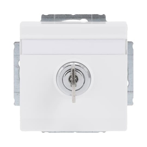 SCHUKO Socket insert with labelling field Safety Shutter with Hinged Lid and Cylinder Lock with different locking studio white  - Platform 63