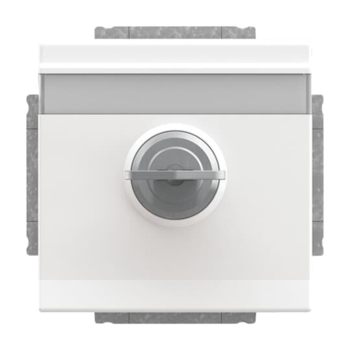 SCHUKO Socket insert with labelling field Safety Shutter with Hinged Lid and Cylinder Lock with simultaneous locking studio white  - Platform 63