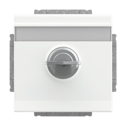 SCHUKO Socket insert with labelling field Safety Shutter with Hinged Lid and Cylinder Lock with different locking studio white matt  - Platform 63