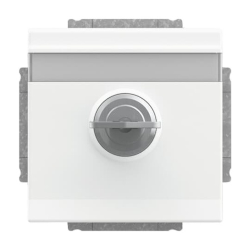 SCHUKO Socket insert with labelling field Safety Shutter with Hinged Lid and Cylinder Lock with simultaneous locking studio white matt  - Platform 63