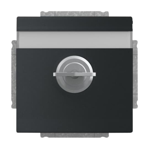 SCHUKO Socket insert with labelling field Safety Shutter with Hinged Lid and Cylinder Lock with different locking black matt  - Platform 63