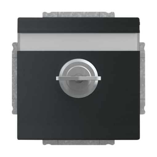 SCHUKO Socket insert with labelling field Safety Shutter with Hinged Lid and Cylinder Lock with simultaneous locking black matt  - Platform 63