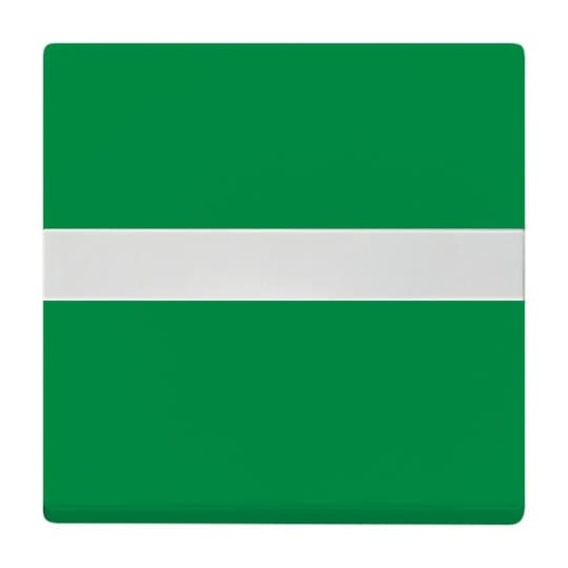 Rocker with labelling field for Switchpush button Single rocker green  Platform 63