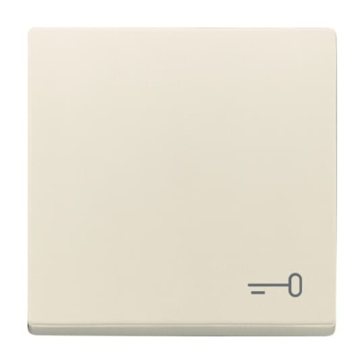 Rocker with legend Symbol "key" for Switchpush button, Single rocker ivory white - Platform 63