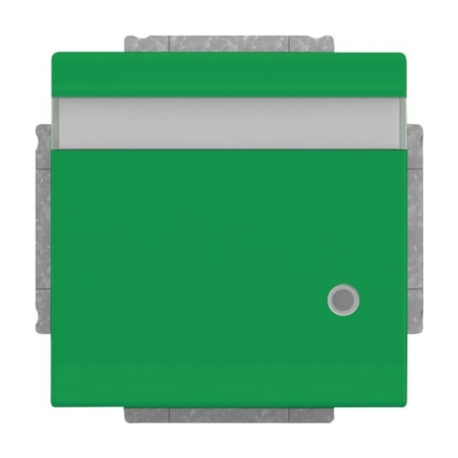 SCHUKO Socket insert with labelling field Safety Shutter withControl light with Hinged Lid green  - Platform 63