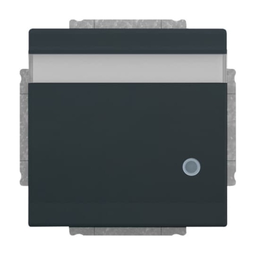SCHUKO Socket insert with labelling field Safety Shutter withControl light with Hinged Lid anthracite  - Platform 63