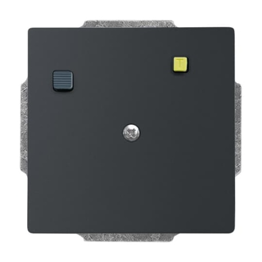 Buschmat RCD  Insert Protective Contact SCHUKO RCD 30 mA black matt  Platform 63