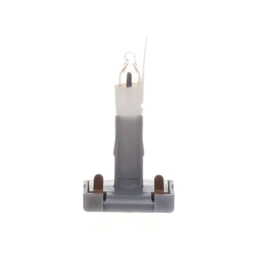 Illumination set Switchpush button Orange Neon lamp 230 V white