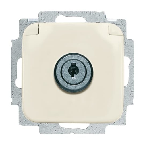 SCHUKO socket insert Safety Shutter with Hinged Lid and Cylinder Lock white  - Busch-Duro 2000 SI