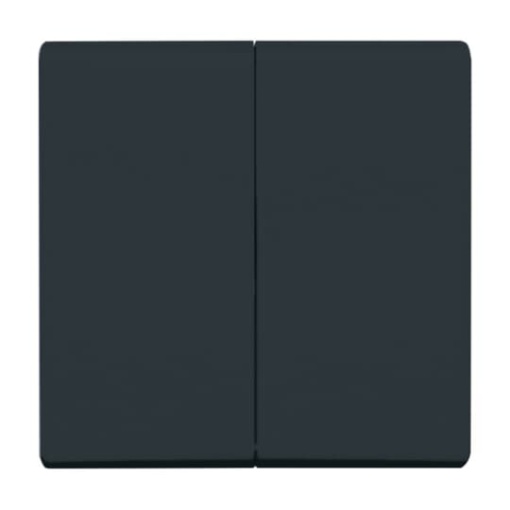 Rocker with legend Symbol "light" for Switchpush button, Two-part rocker anthracite - Allwetter 44 IP 44