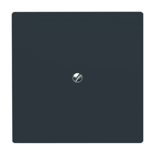 Cover plate Blind plate anthracite - Allwetter 44 IP 44