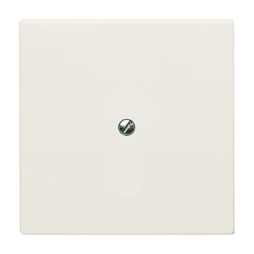 Cover plate Blind plate white - Allwetter 44 IP 44