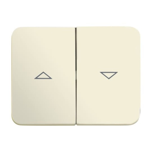 1785 JA22G Switch rocker with marking