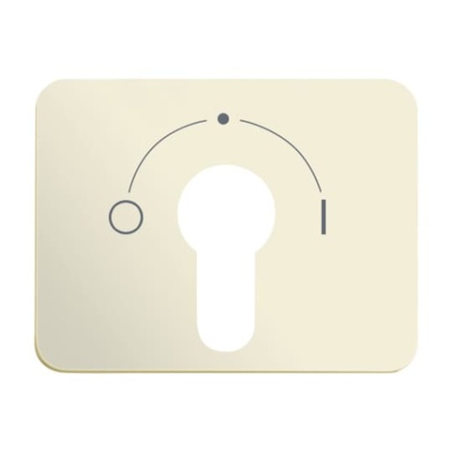 1755 SLPZ22G101 Cover plate