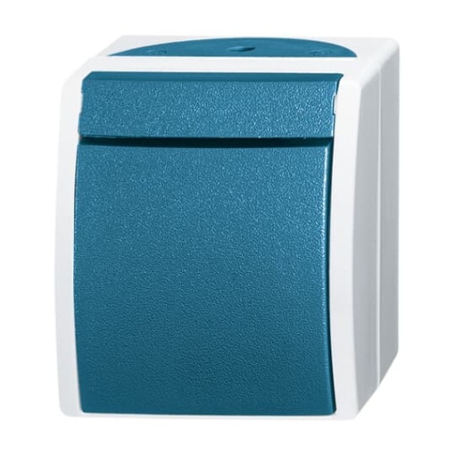 Switch Intermediate switch grey  bluegreen  ocean