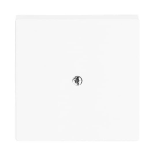Cover plate Busch-Infoline telephone connector boxes VDo Central cover plate studio white - Platform 63